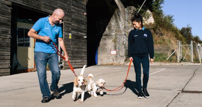 Battersea wins prestigious volunteering award